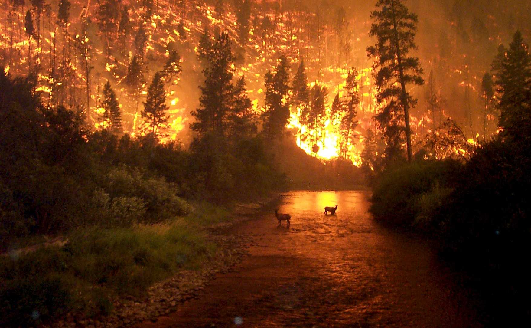 incendio